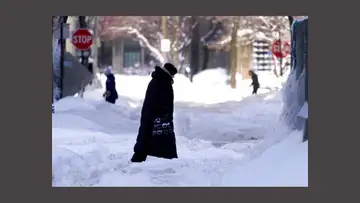 Polar Vortex