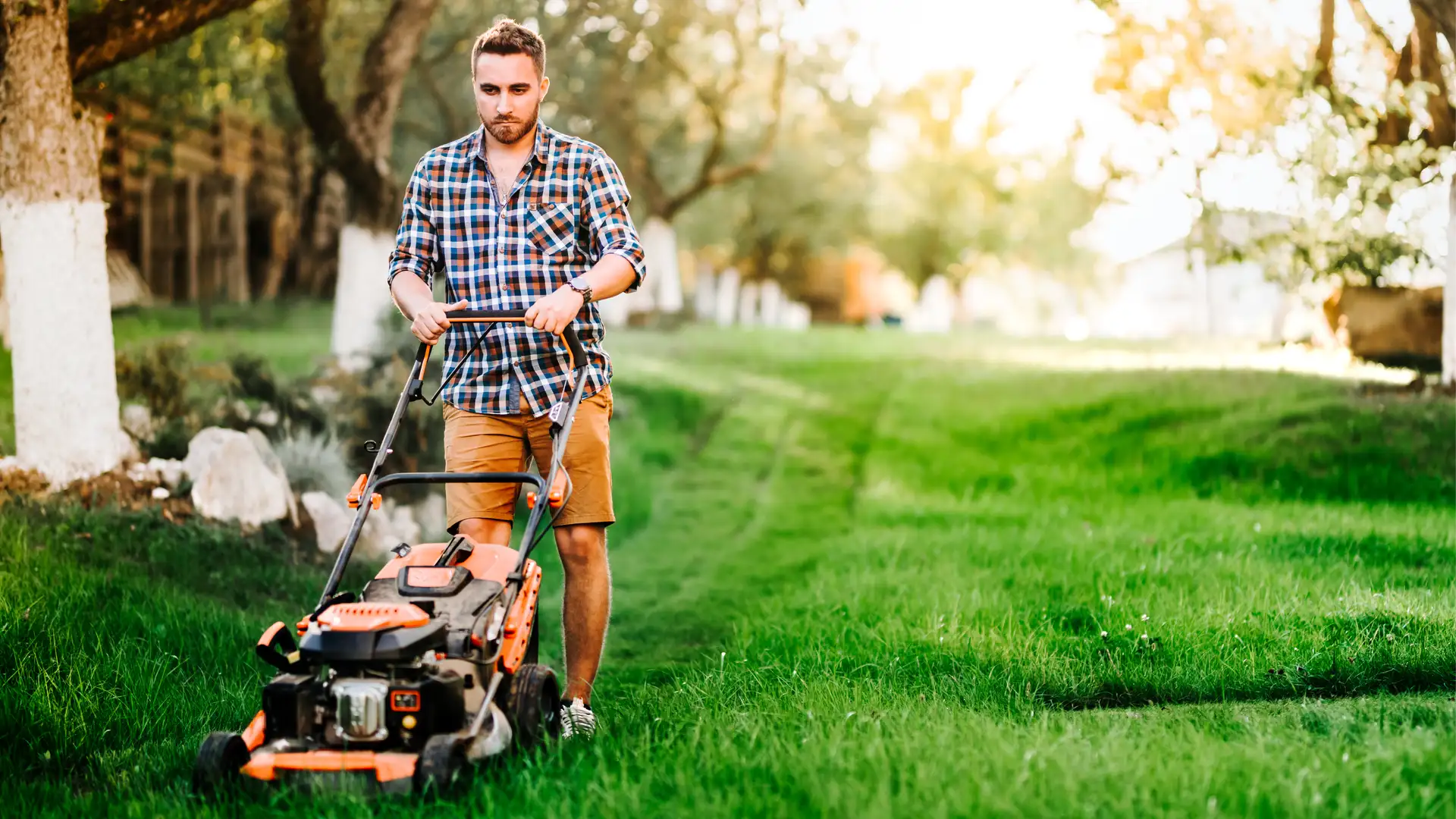 Banners for Discipleship
