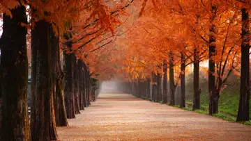Getting and Staying on the Covenant Path