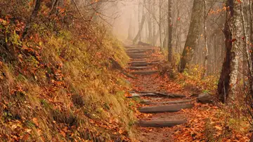 On Trails