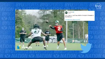 Cougar Whiparound 