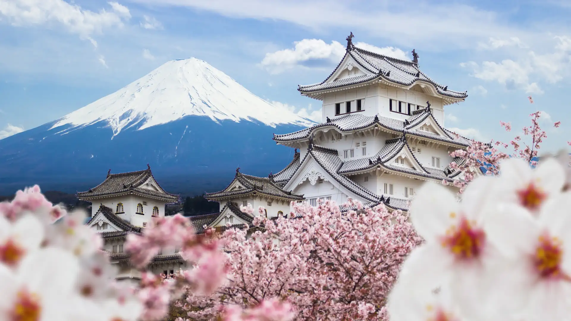 Land of the Rising Sun