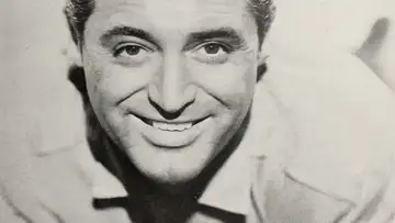 A Brilliant Disguise