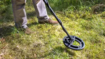 Archaeological Gardening