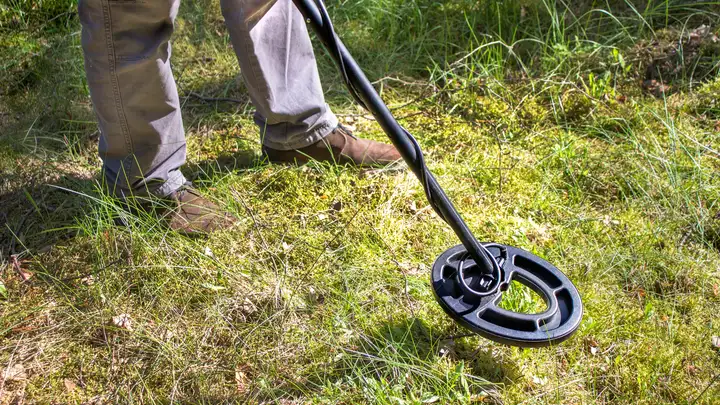 Archaeological Gardening