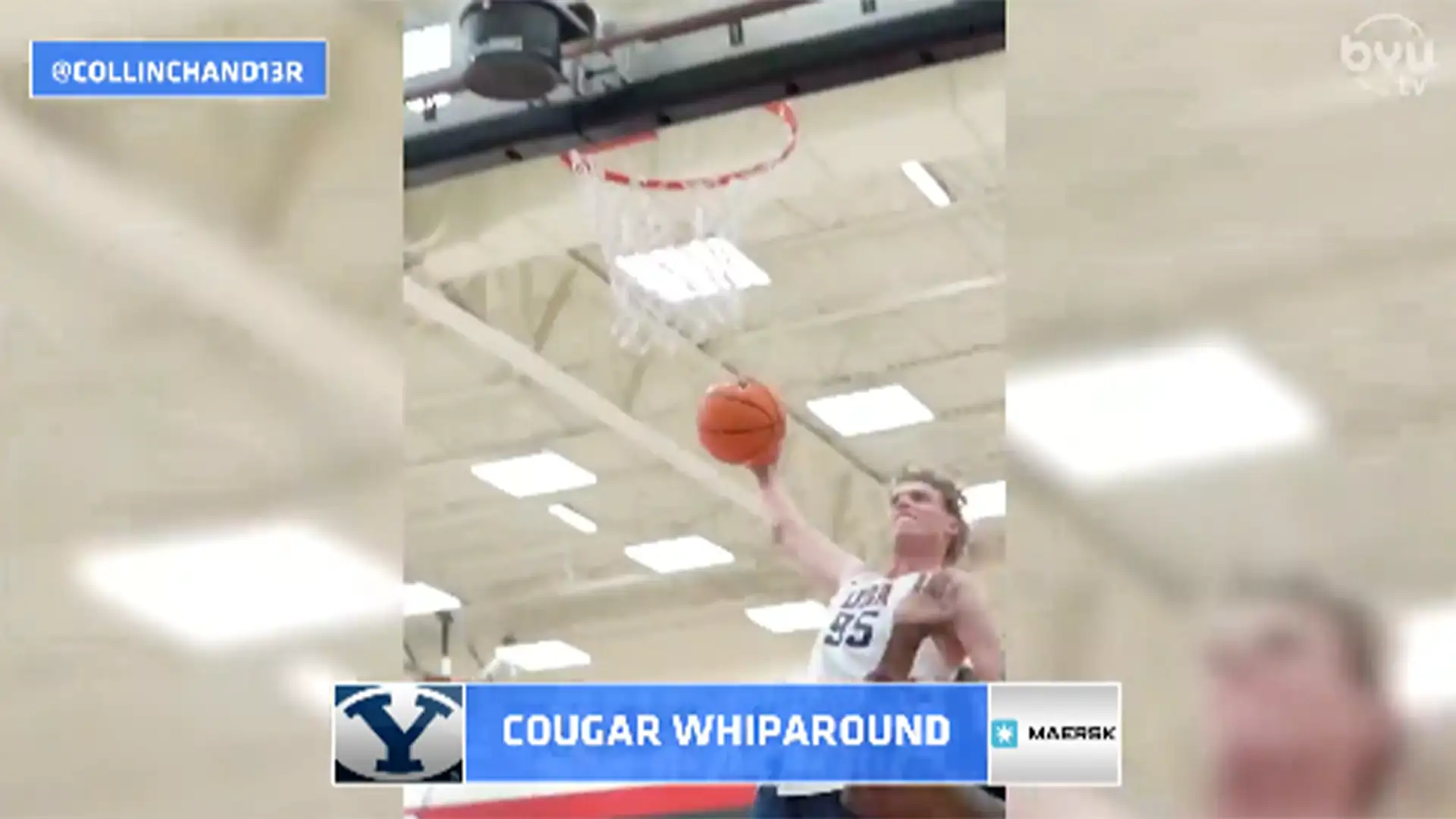 Cougar Whiparound