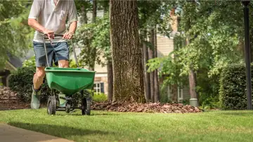 Beautiful Lawns Anyone Can Manage