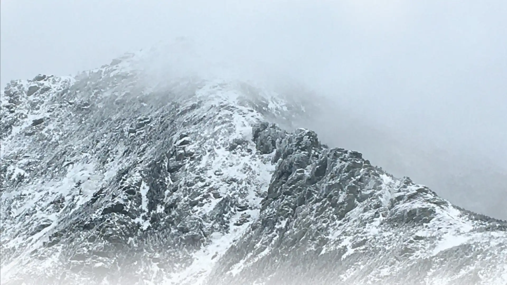 Why Even Experts Take Dangerous Risks in the Wild