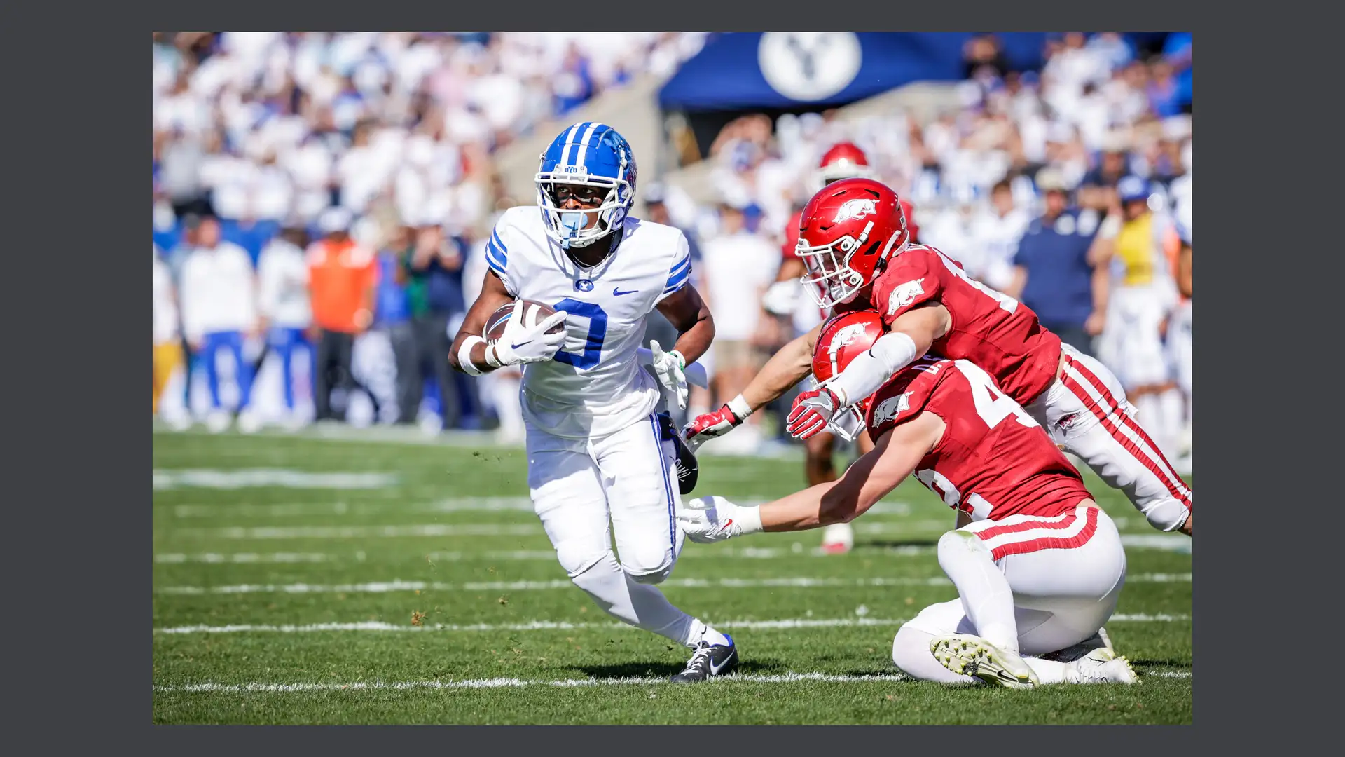 Cougars Cookin' an Upset?