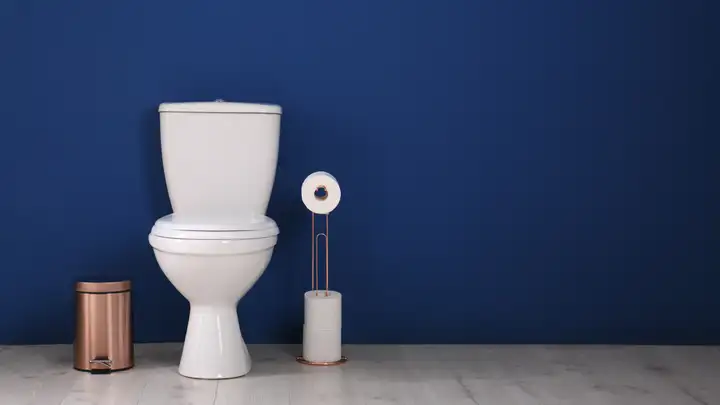 The Toilet Revolution