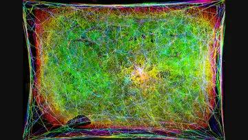 Spiderweb Music
