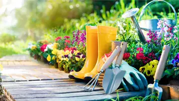 Spring Gardening 
