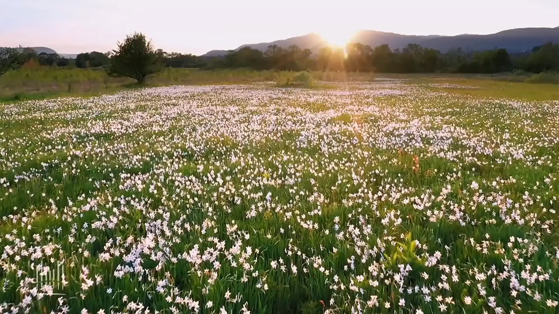 The Highest, Holiest, Happiest Way