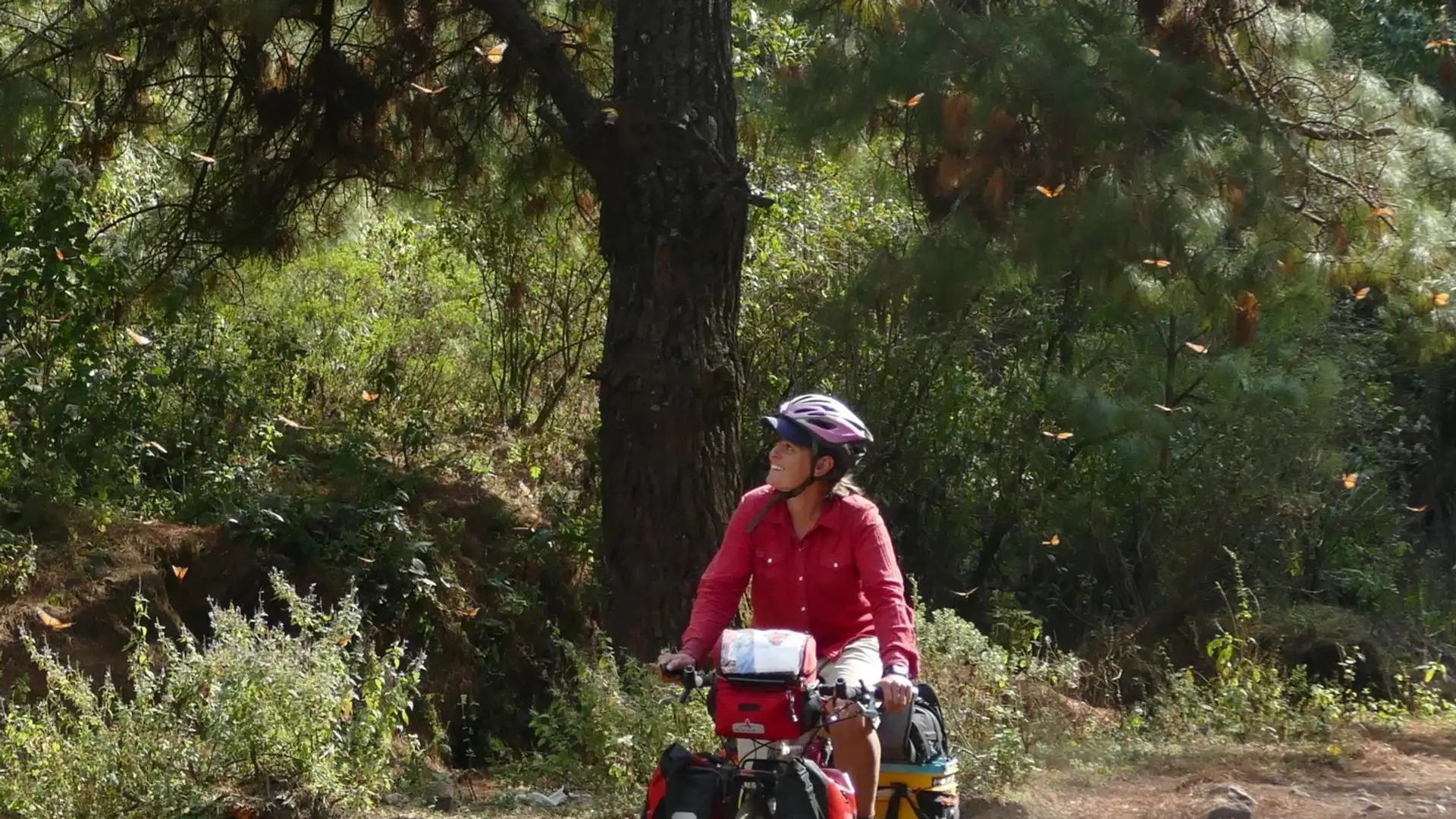 Butterbiking: Following the Monarch Migration