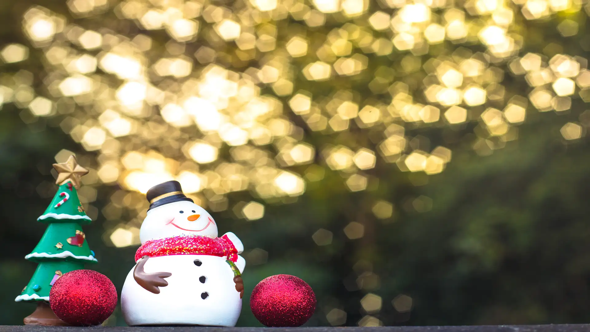 The Beauty of Christmas