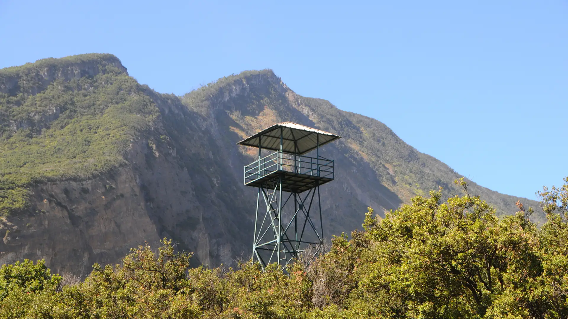 Warning Your Neighbor