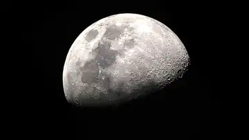 Lunar Ark