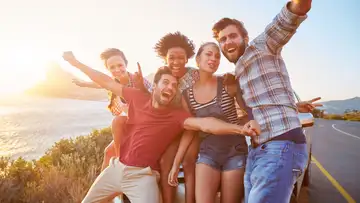 Diversity in Our Friendscapes