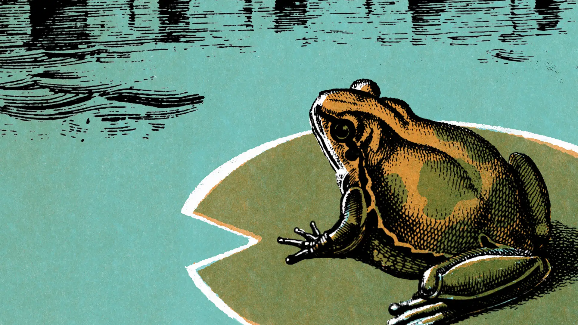 Childhood Stories by Antonio Sacre and Sam Payne + 'The Kiss Bet' author Ingrid Ochoa