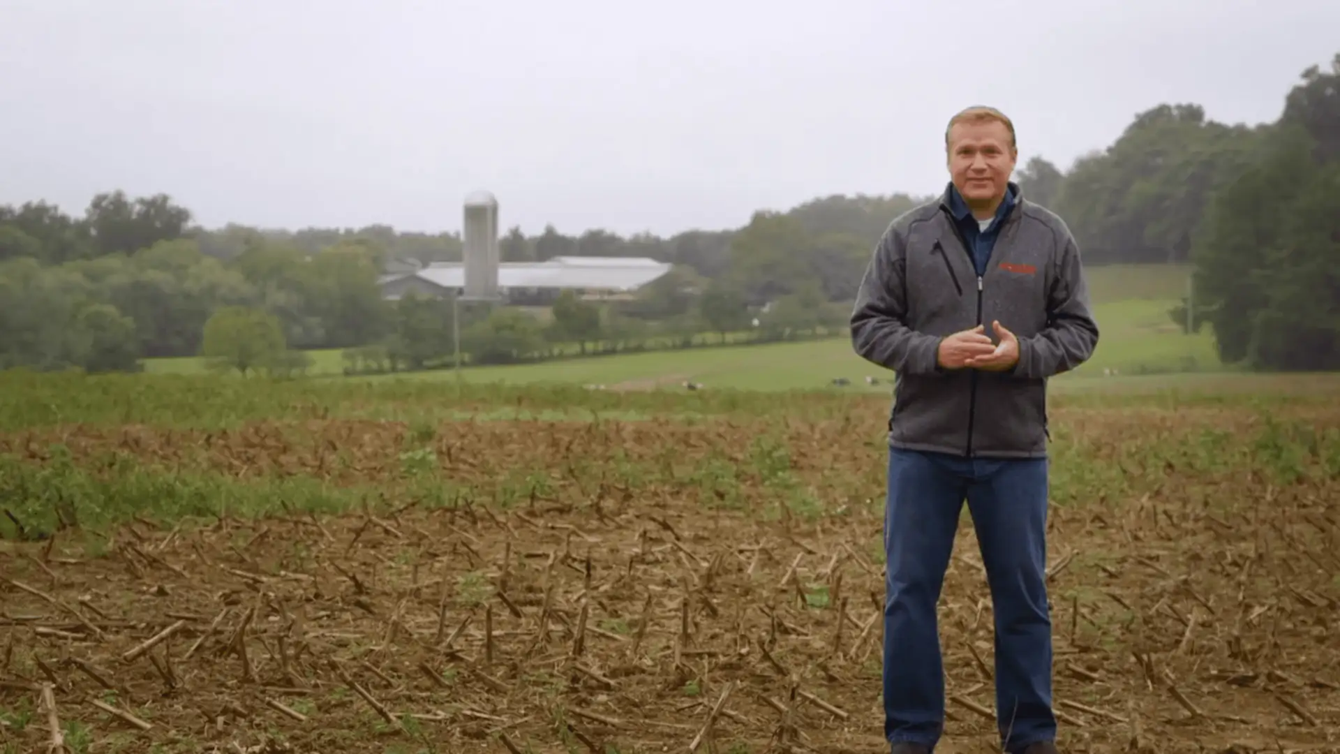 A Flower and a Pound Cake