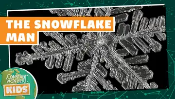 The Snowflake Man