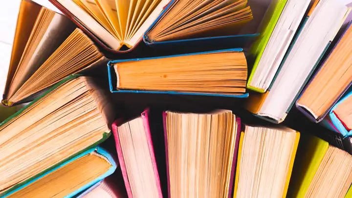 Mini Book Club