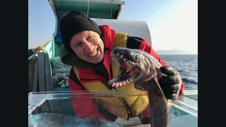 Prison Order, Ghost Sharks