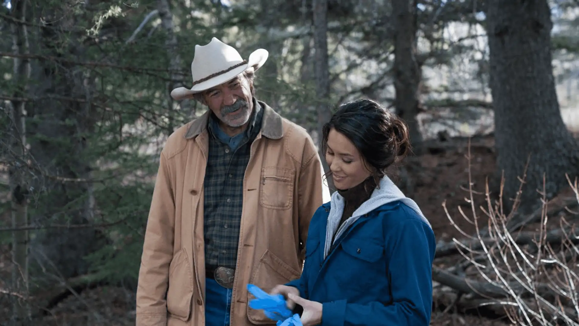 Forest for the Trees