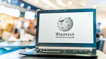 Wikipedia After Twenty Years