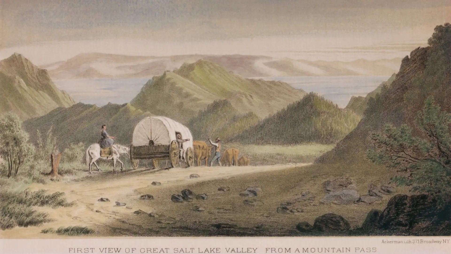 Perspectives Gained from Adversity