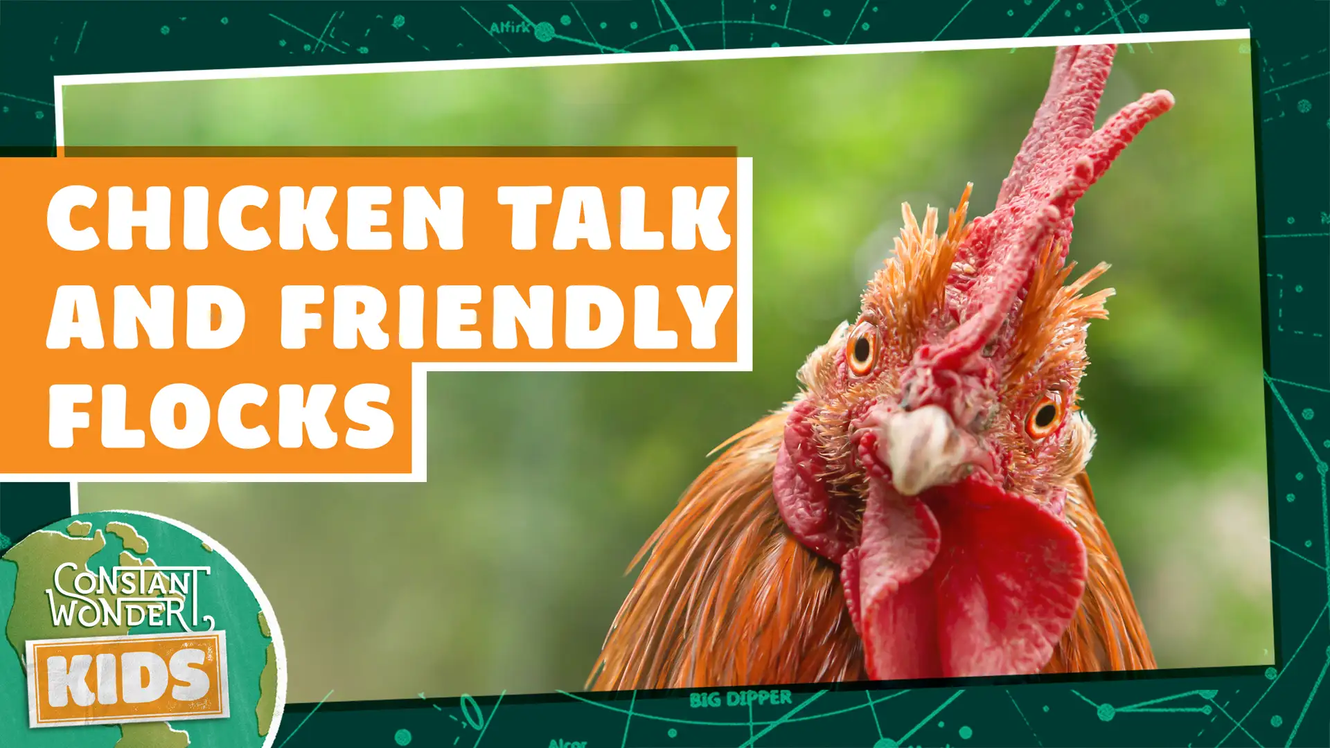 Chicken Talk and Friendly Flocks