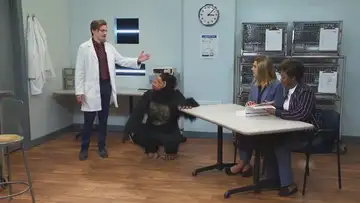 Monkey Play