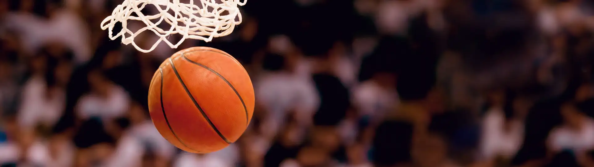 Cheer on Your Cougars