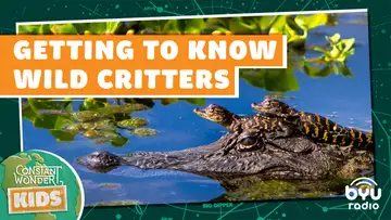 Getting to Know Wild Critters