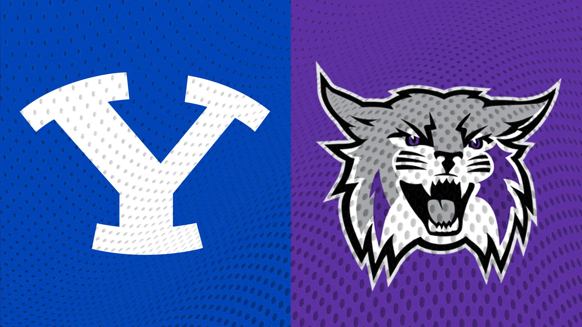 Weber State vs. BYU (11-8-13)