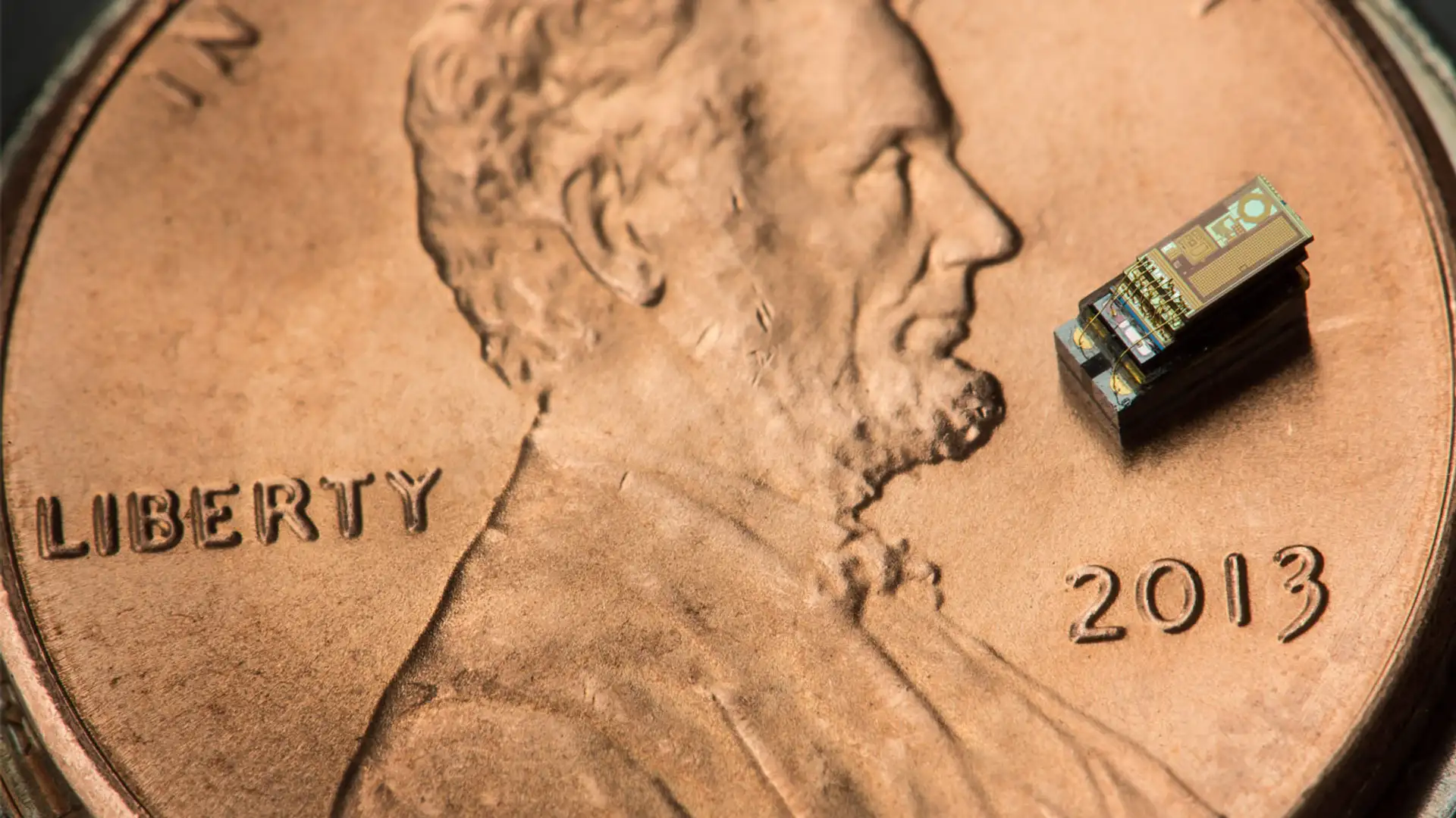 Tiny Computers Are Revealing the Secret Lives of Snails, Butterflies