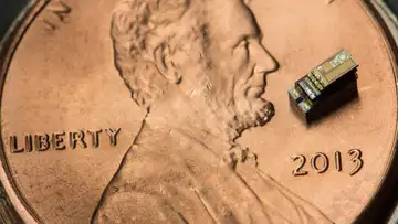 Tiny Computers Are Revealing the Secret Lives of Snails, Butterflies