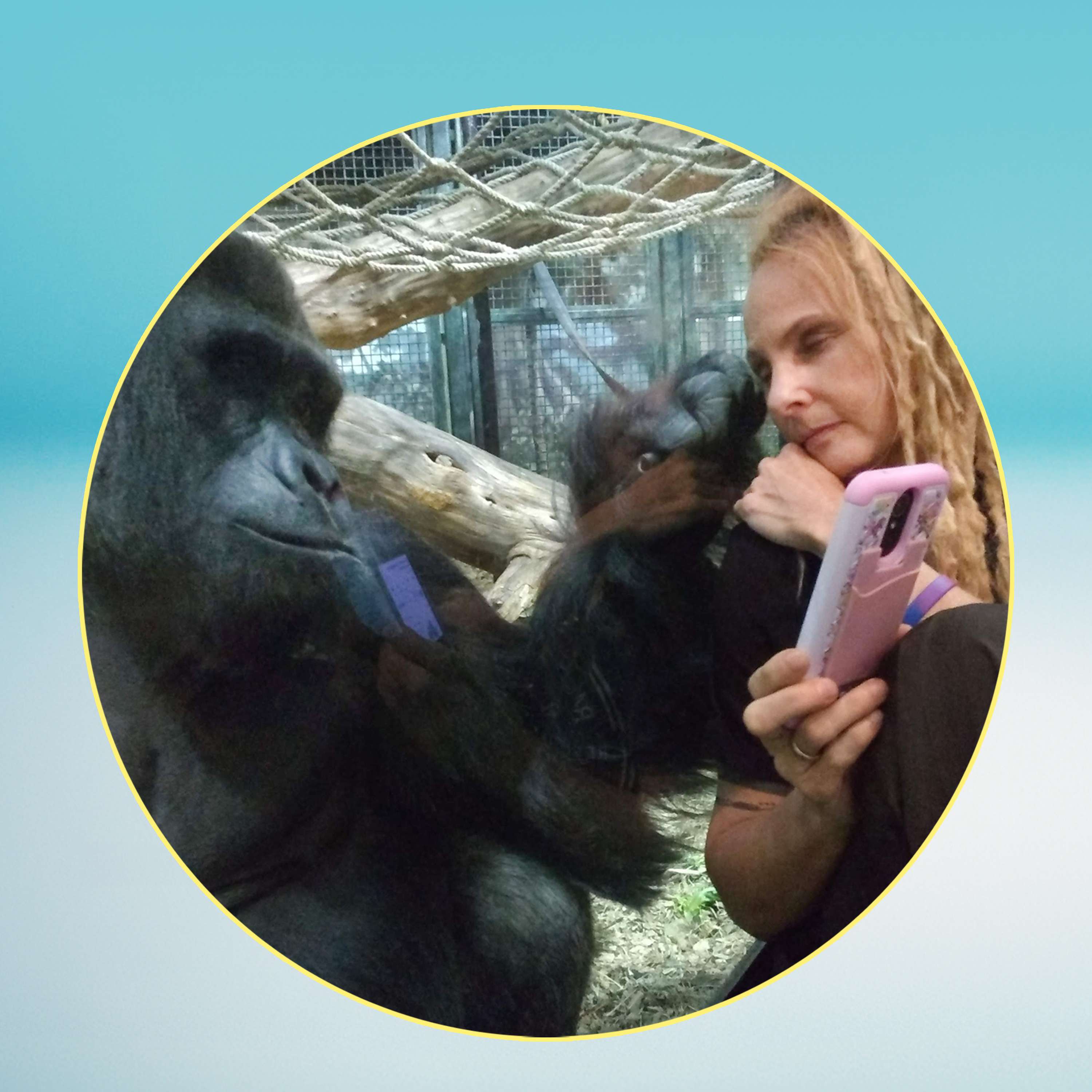 How Gorillas Helped Me Understand Humans – Dawn Prince-Hughes on Autism & Belonging