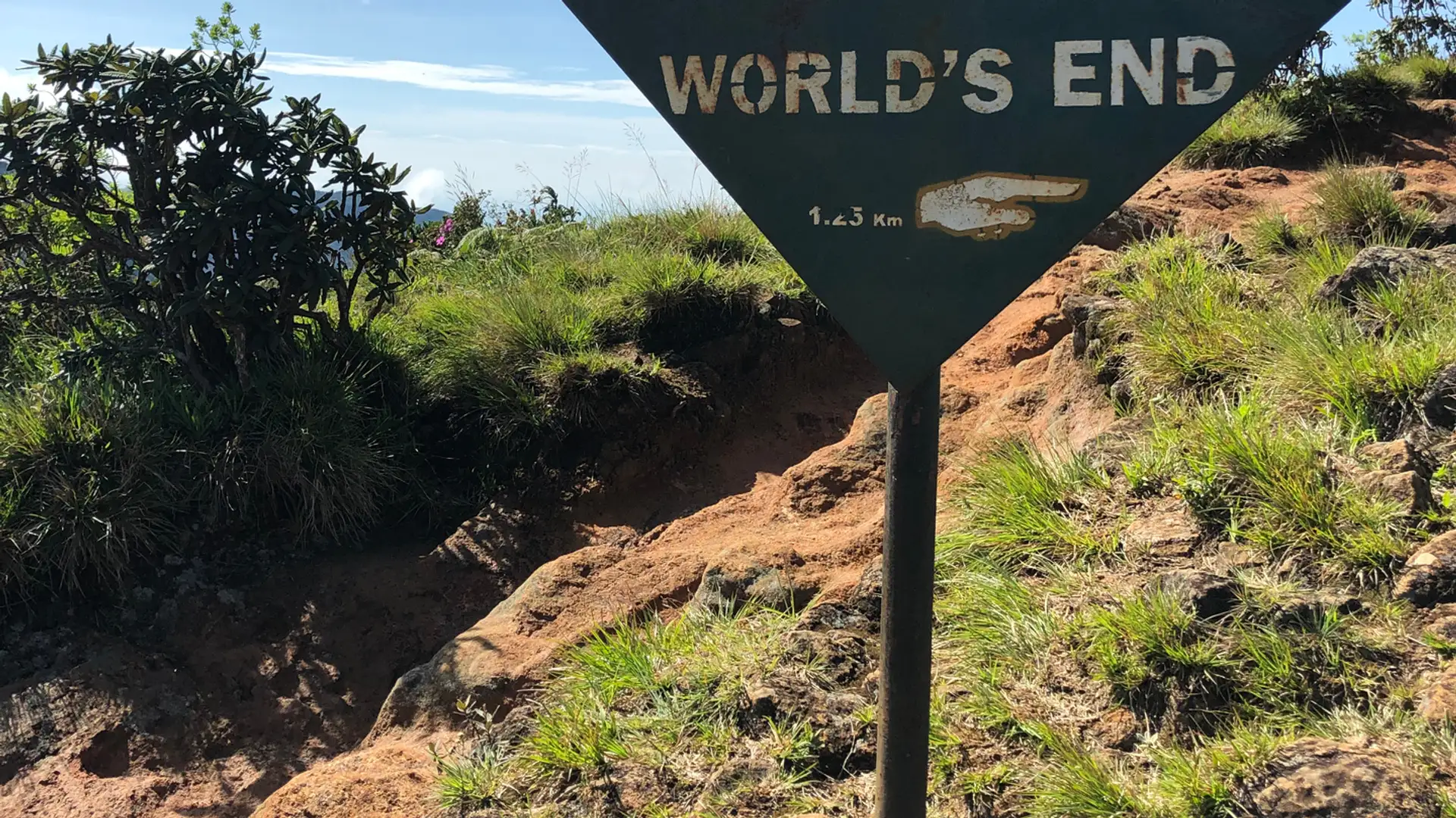 The Well of the World's End