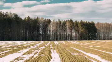 Merry Christmas from Constant Wonder - December 25