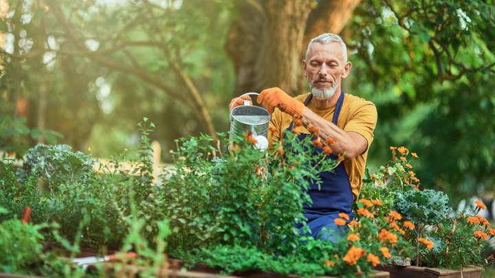 Our Earthly Stewardship