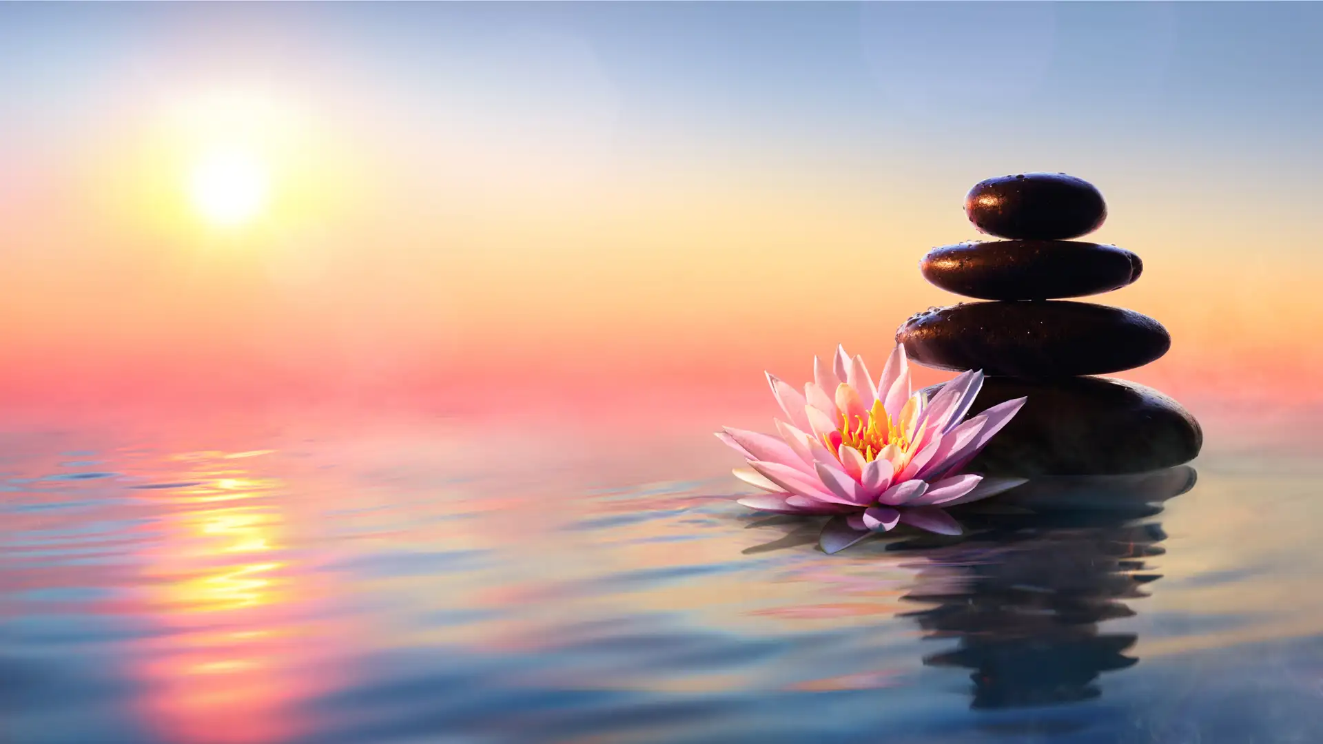 Healing Power of Mindfulness