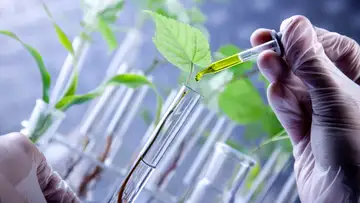 Making Super-Plants
