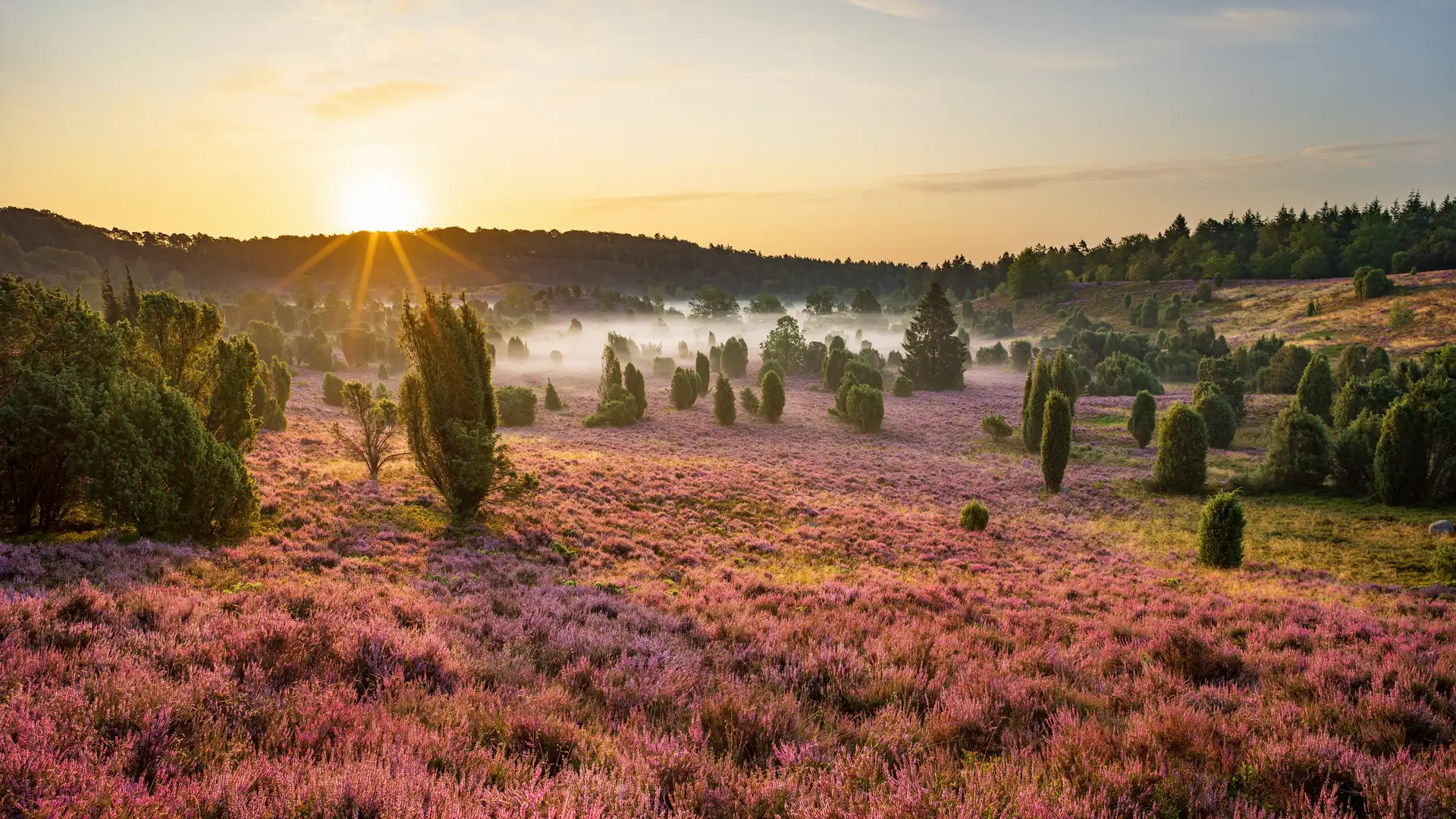 Where in the World Is Home?