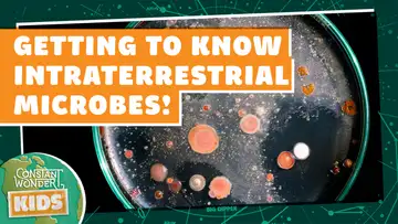 Getting to Know Intraterrestrial Microbes!