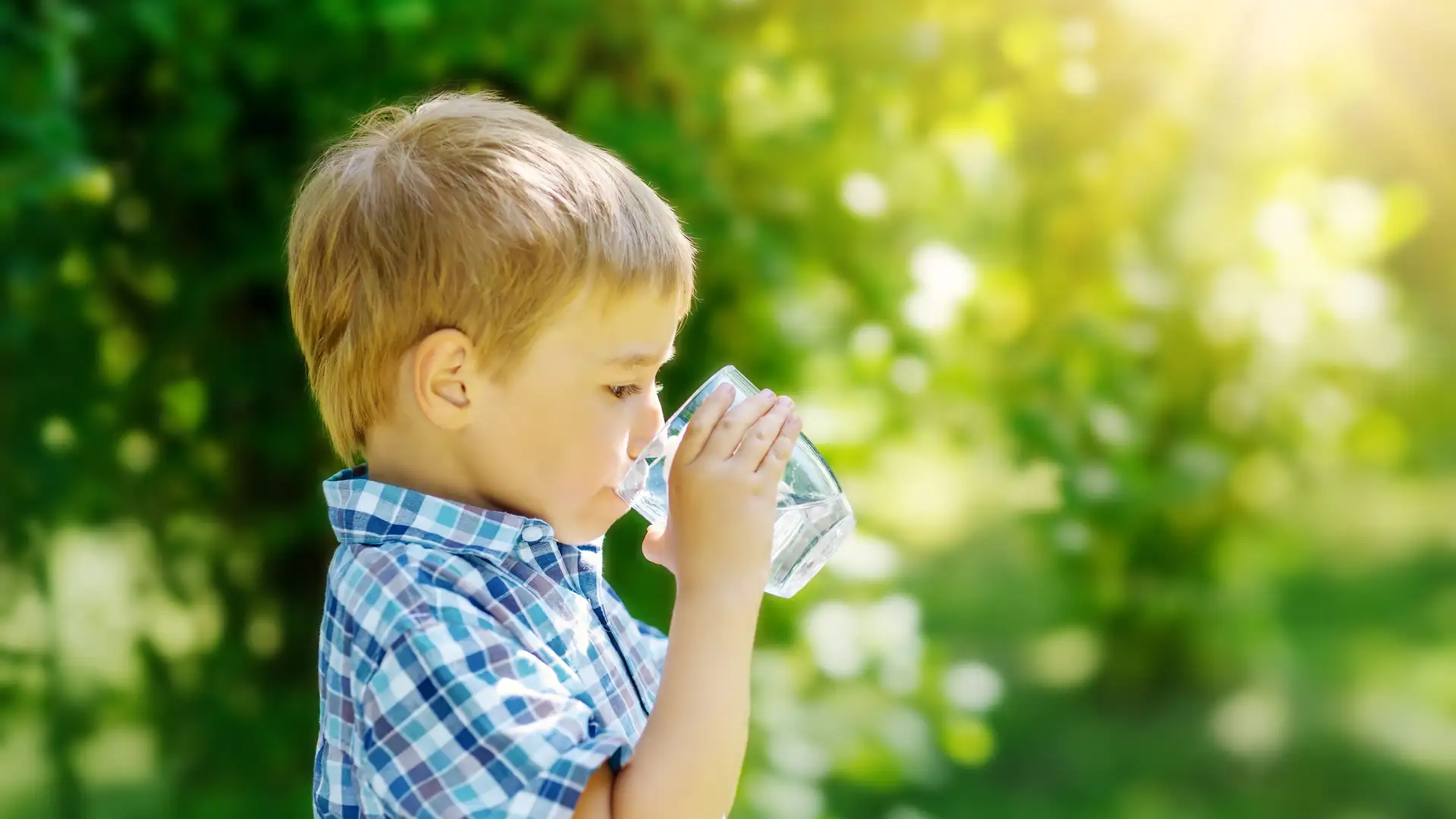 Three-letter-lesson #23: SIP