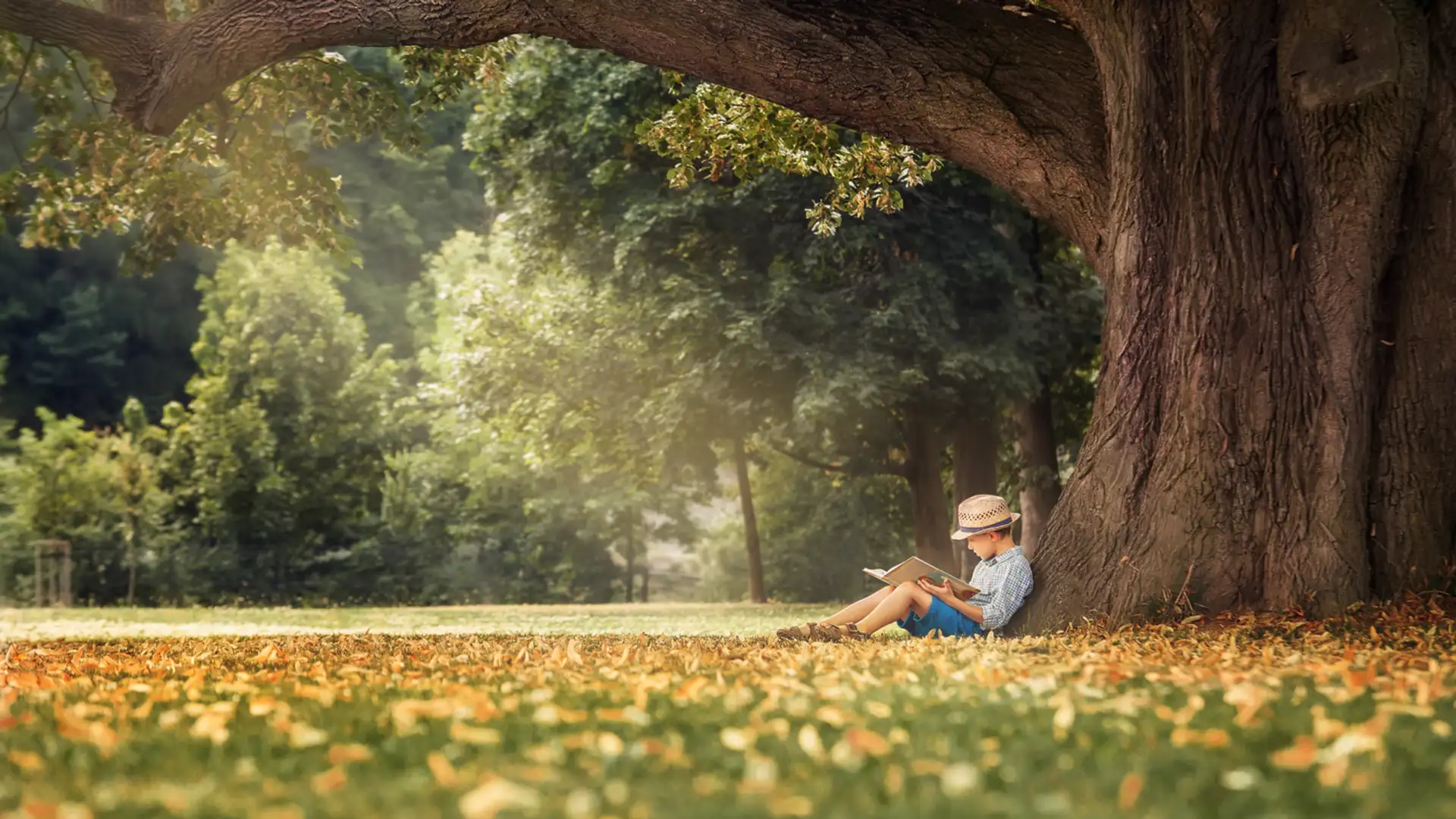 Summoner Series, Autism, and Folklore