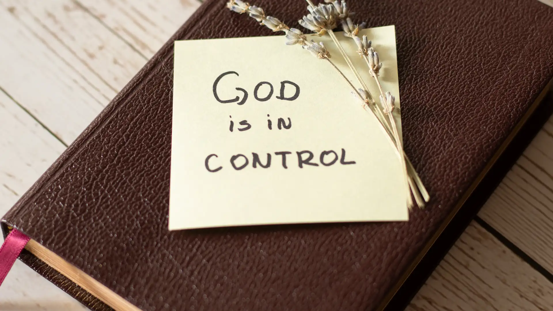 Power From The Word of God