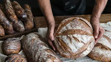 Sourdough