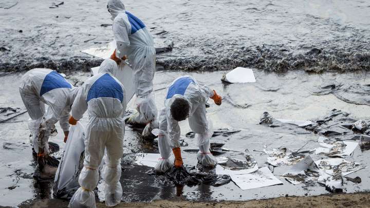 Oil-Loving Sponges a New Solution to Oil Spill Cleanup in the Ocean